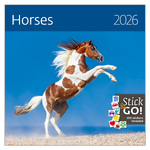 Horses LP, képes lemeznaptár 2026