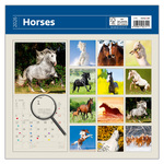 Horses LP, képes lemeznaptár 2026