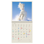 Horses LP, képes lemeznaptár 2026