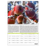 Kertészmester B3, képes falinaptár 2026