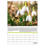 Kertészmester B3, képes falinaptár 2026