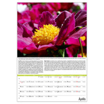 Kertészmester B3, képes falinaptár 2026