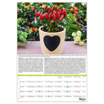 Kertészmester B3, képes falinaptár 2026