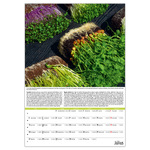 Kertészmester B3, képes falinaptár 2026