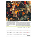 Kertészmester B3, képes falinaptár 2026