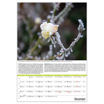 Kertészmester B3, képes falinaptár 2026