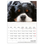 Kutyák B4, képes falinaptár 2026