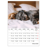 Kutyák B4, képes falinaptár 2026