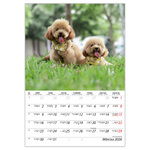 Kutyák B4, képes falinaptár 2026