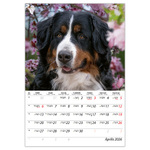 Kutyák B4, képes falinaptár 2026