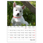 Kutyák B4, képes falinaptár 2026