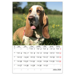 Kutyák B4, képes falinaptár 2026