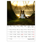 Kutyák B4, képes falinaptár 2026