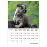 Kutyák B4, képes falinaptár 2026