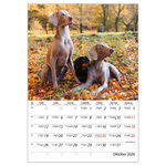 Kutyák B4, képes falinaptár 2026