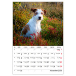 Kutyák B4, képes falinaptár 2026