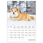 Kutyák B4, képes falinaptár 2026