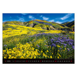 Landscapes, képes falinaptár 2026