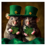 Little Fun LP, képes lemeznaptár 2026