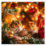 Little Fun LP, képes lemeznaptár 2026