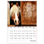 Lovak B4, képes falinaptár 2026