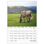 Lovak B4, képes falinaptár 2026