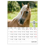 Lovak B4, képes falinaptár 2026