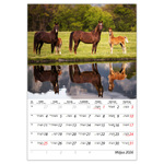 Lovak B4, képes falinaptár 2026