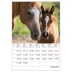 Lovak B4, képes falinaptár 2026