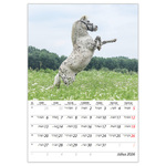 Lovak B4, képes falinaptár 2026