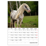 Lovak B4, képes falinaptár 2026