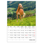 Lovak B4, képes falinaptár 2026