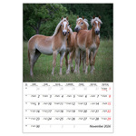 Lovak B4, képes falinaptár 2026