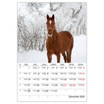 Lovak B4, képes falinaptár 2026