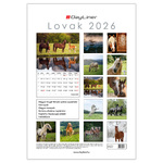 Lovak B4, képes falinaptár 2026