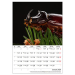 Macro lens B4, képes falinaptár 2026