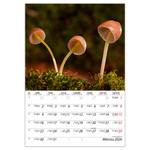 Macro lens B4, képes falinaptár 2026