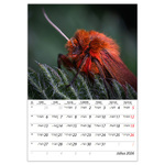 Macro lens B4, képes falinaptár 2026