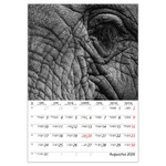 Macro lens B4, képes falinaptár 2026