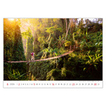 New Horizons, képes falinaptár 2026