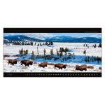 Panoramaphoto, képes falinaptár - Exclusive Edition 2026