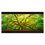 Panoramaphoto, képes falinaptár - Exclusive Edition 2026