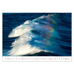 Sea, képes falinaptár 2026