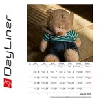 Teddy B4, képes falinaptár 2026