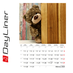 Teddy B4, képes falinaptár 2026