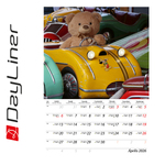 Teddy B4, képes falinaptár 2026