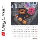 Teddy B4, képes falinaptár 2026