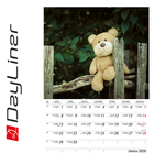 Teddy B4, képes falinaptár 2026