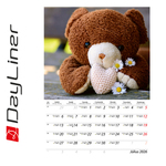 Teddy B4, képes falinaptár 2026