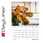 Teddy B4, képes falinaptár 2026